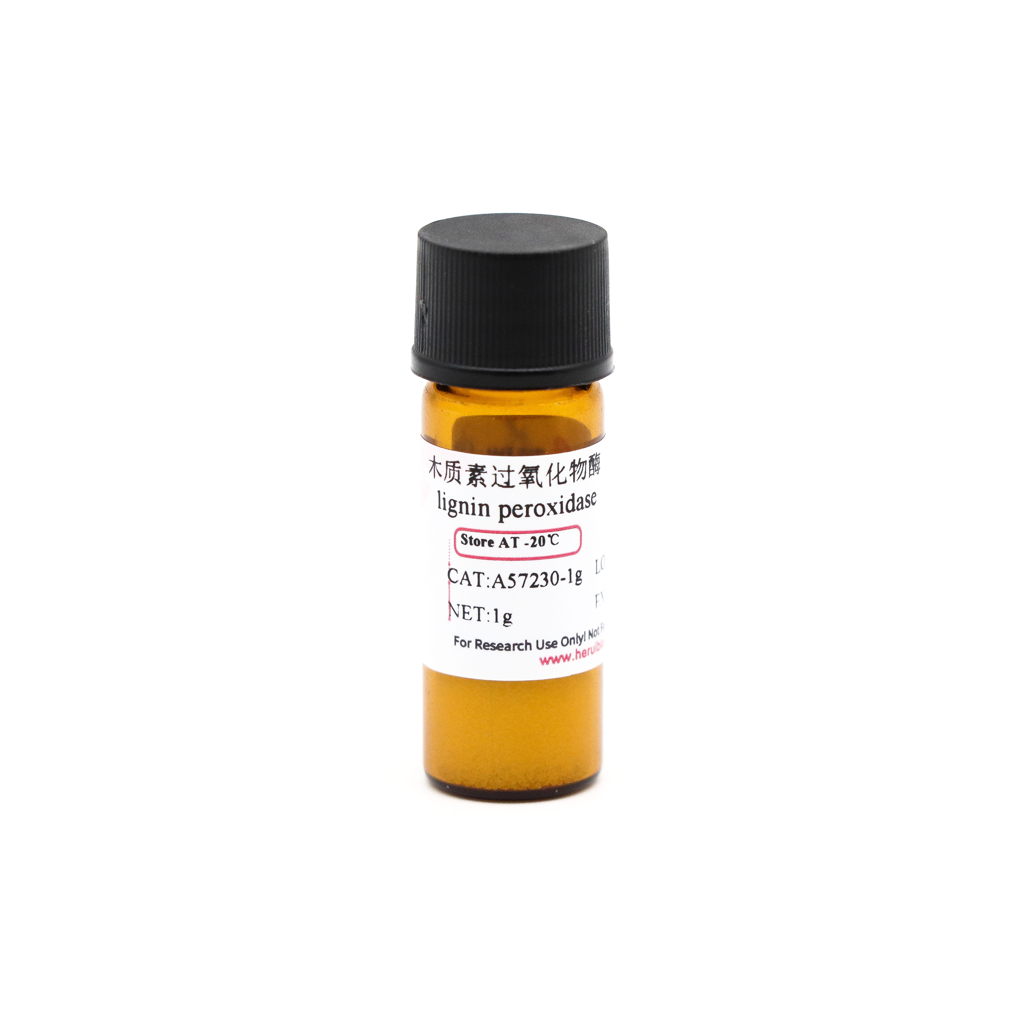 木质素过氧化物酶 lignin peroxidase