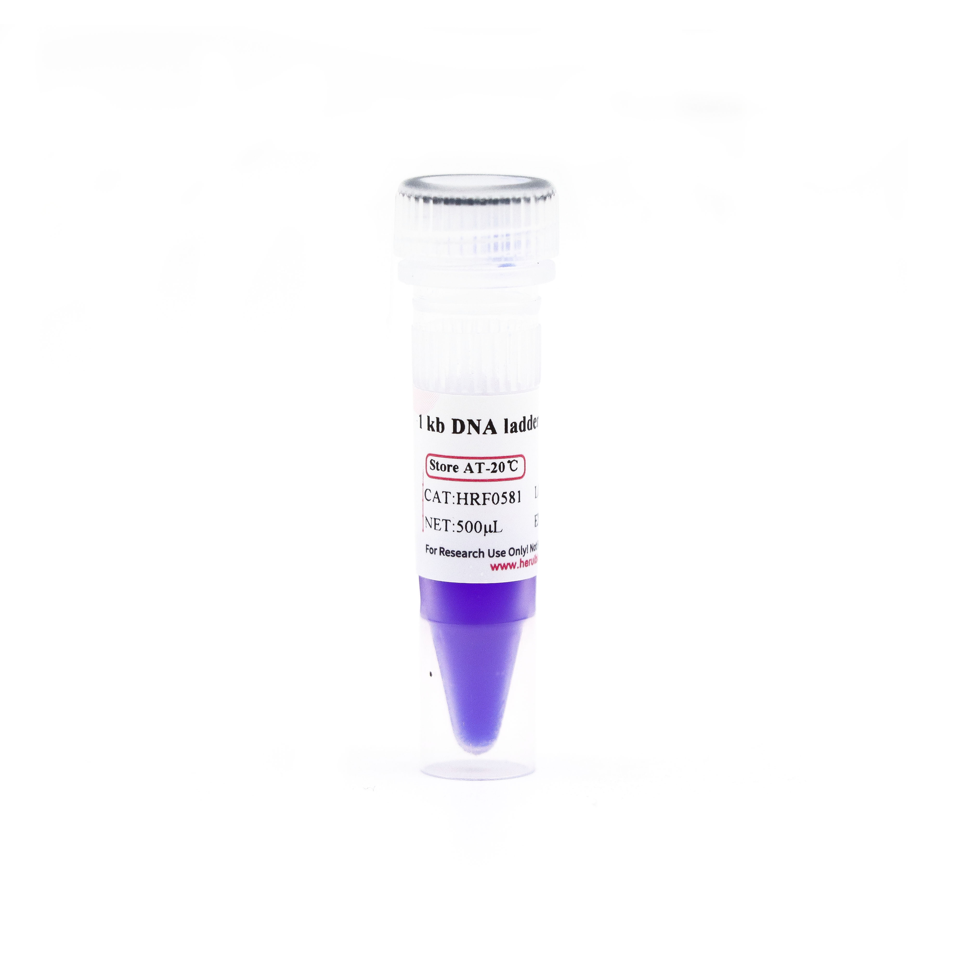 1 kb DNA ladder