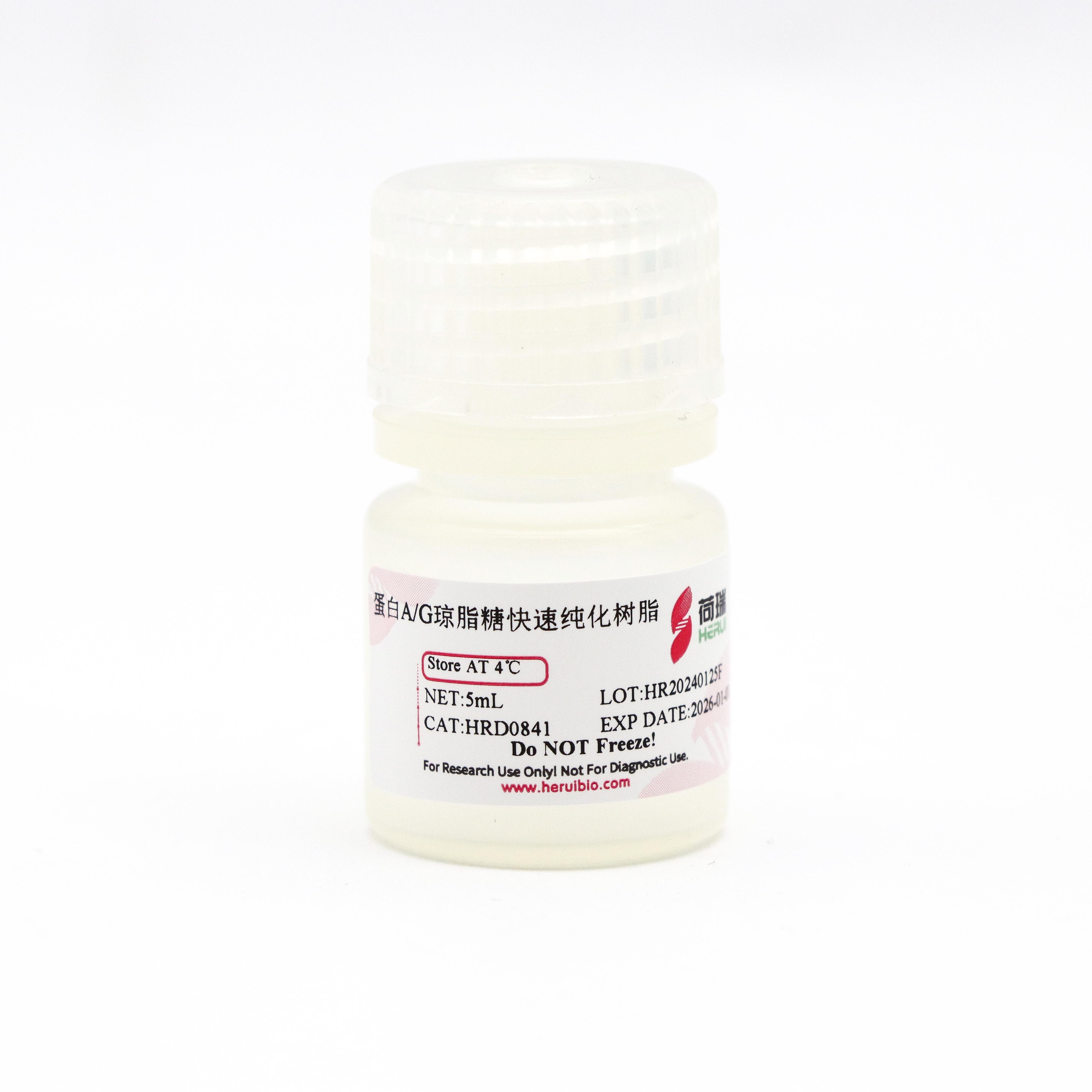 Protein A/G Agarose Resin 4FF 蛋白A/G琼脂糖快速纯化树脂