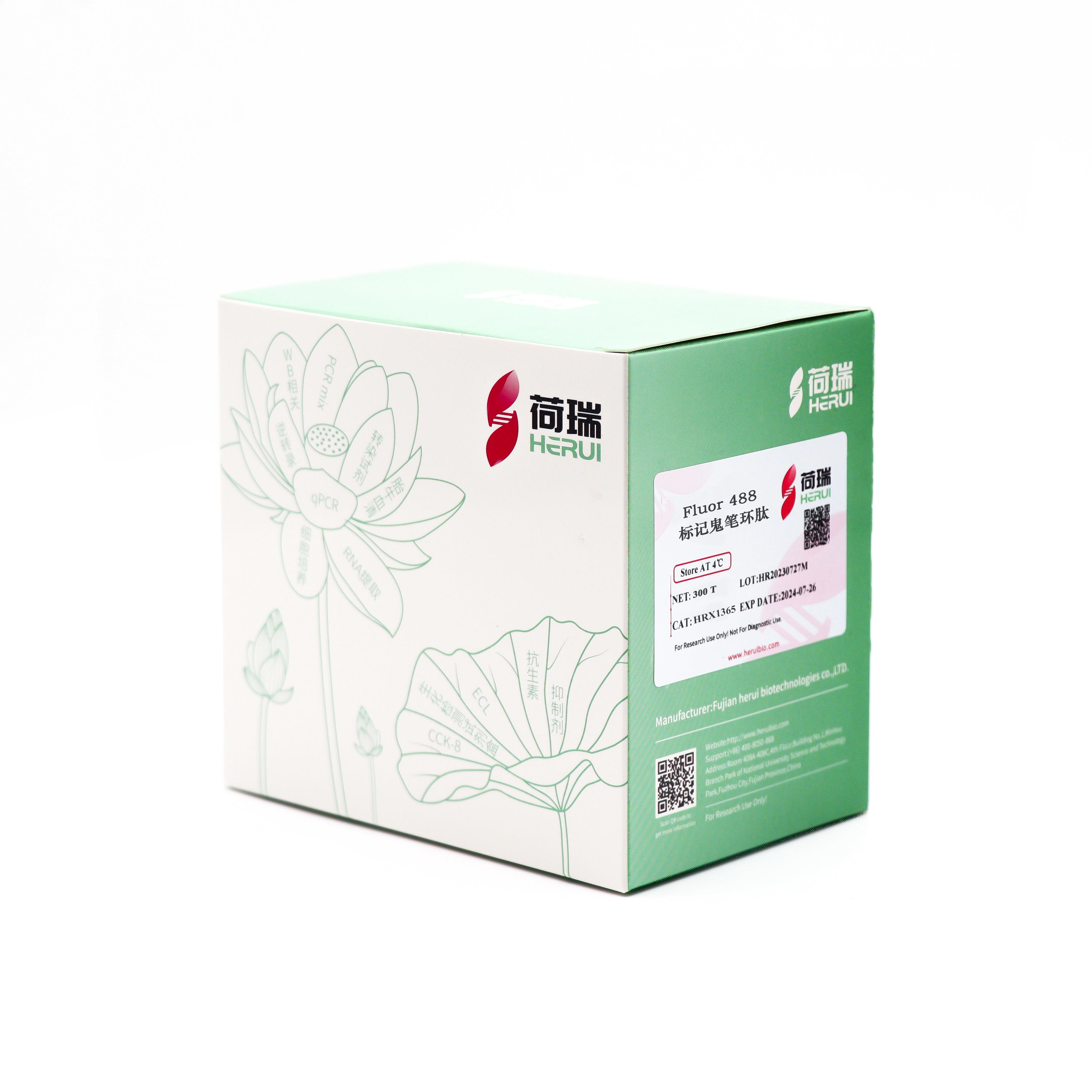 Fluor 488 Phalloidin Fluor 488 标记鬼笔环肽