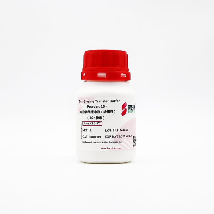  电泳转移缓冲液（转膜液）(10×粉末)