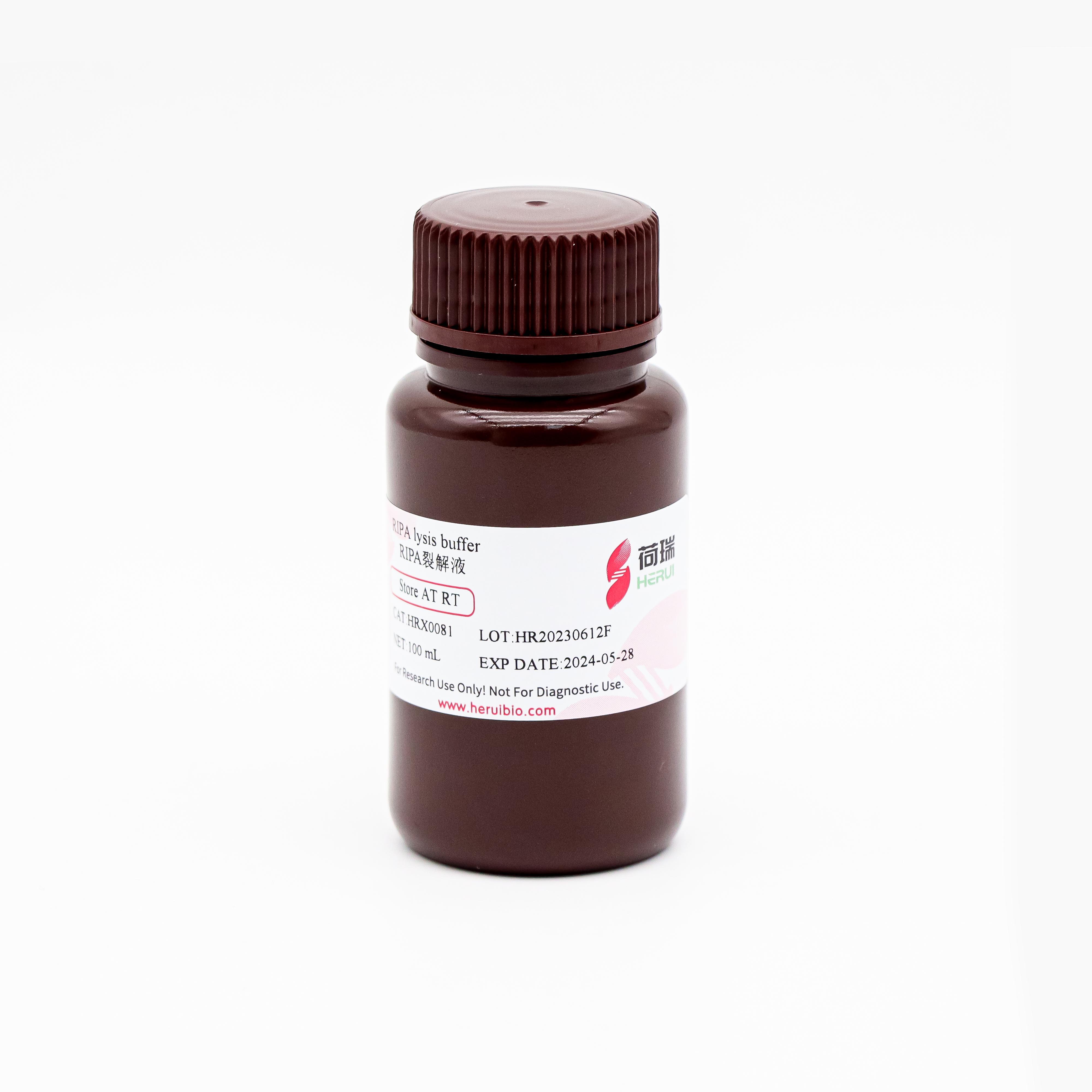 RIPA lysis buffer  RIPA裂解液