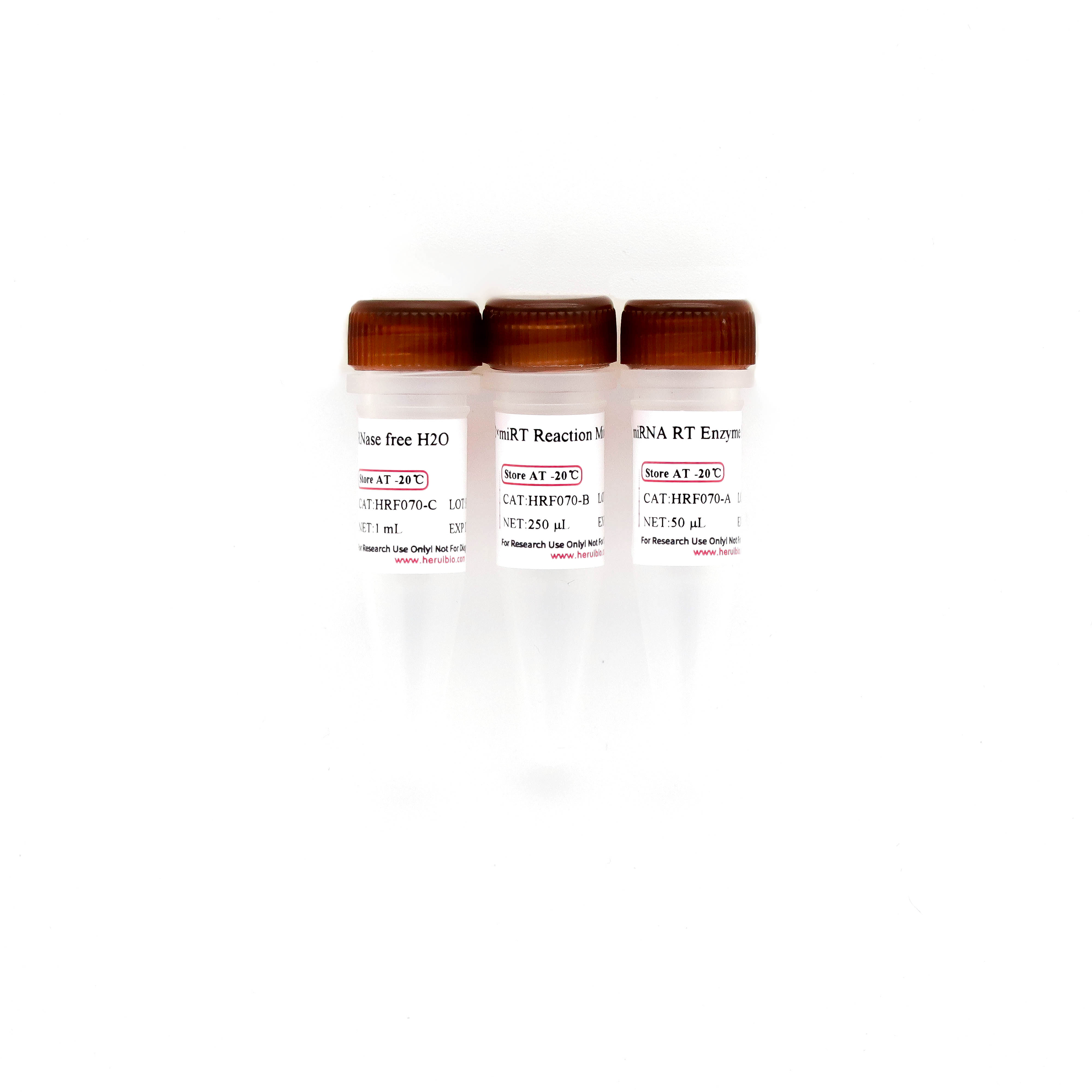 HRbio™ Ⅲ miRNA 1st Strand cDNA Synthesis Kit miRNA逆转录试剂盒(加尾法）